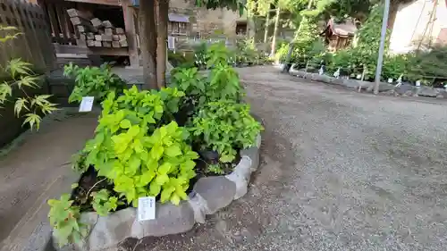 瀬戸神社のその他建物