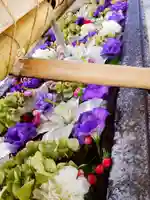 鳩森八幡神社の手水舎