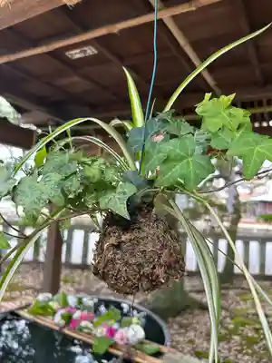 小名浜諏訪神社 ~海の鎮守様~の手水舎