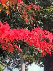 醍醐寺(京都府)