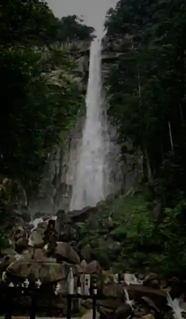 飛瀧神社(熊野那智大社別宮)(和歌山県)