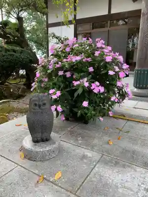 身照寺(岩手県)