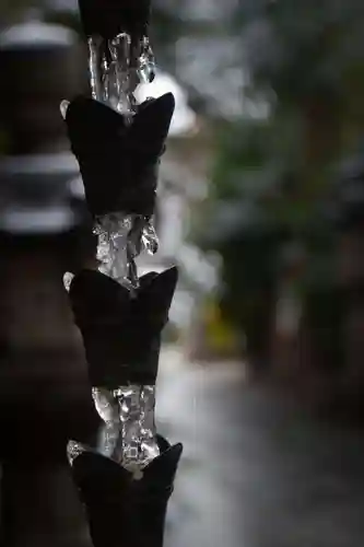 戸越八幡神社(東京都)