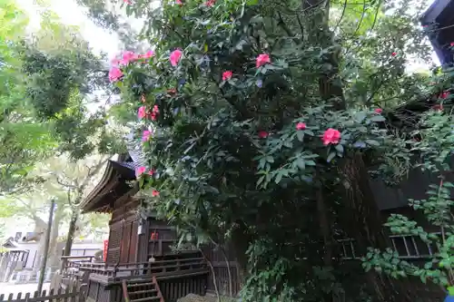 阿邪訶根神社の庭園