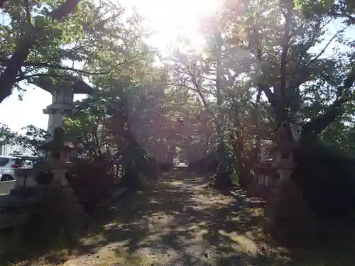 本村井神社の景色