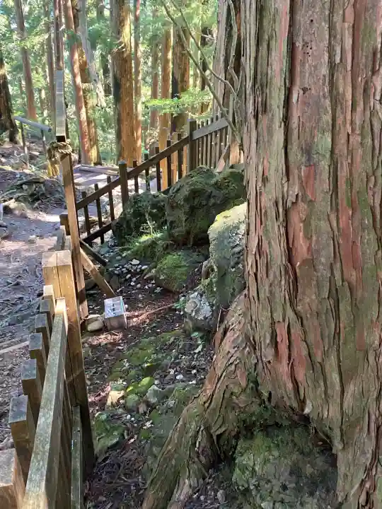 玉置神社(奈良県)