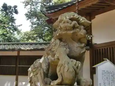 日吉神社の狛犬