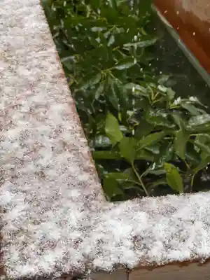 多摩川浅間神社の手水舎