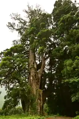 五所神社(徳島県)