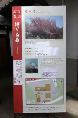 櫻本坊(奈良県)