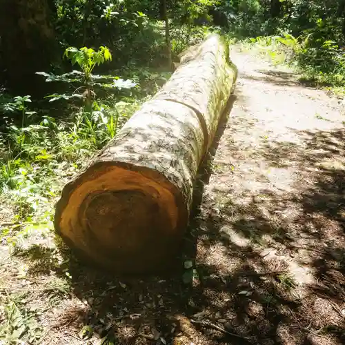 鹿島神宮の自然