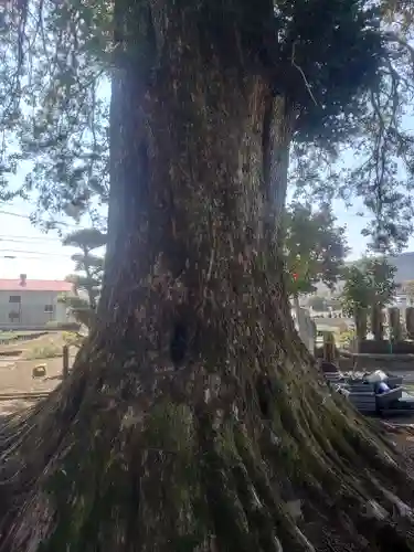 総世寺(神奈川県)