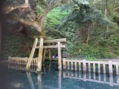 鹿島神宮(茨城県)