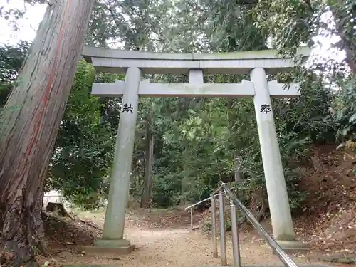 大歳神社の鳥居