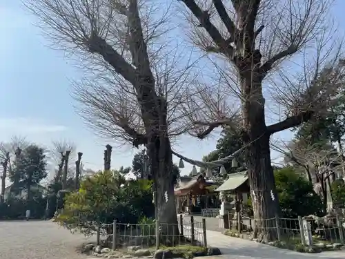 亀ケ池八幡宮のその他建物