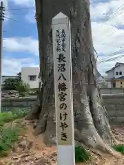 長沼八幡宮の建物その他