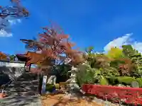 如宝寺のその他建物