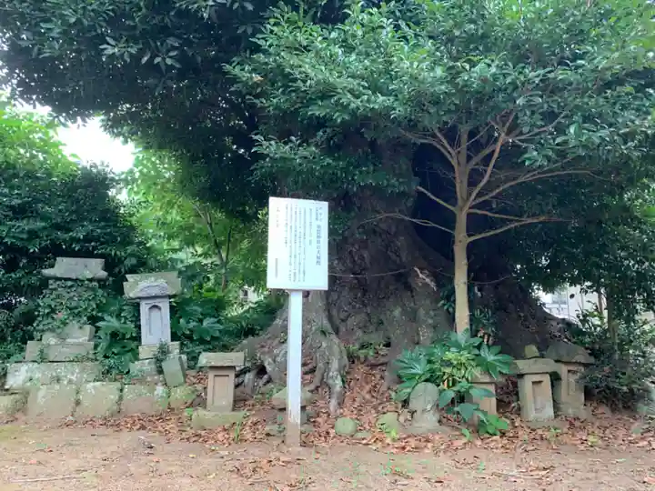 須賀神社(千葉県)