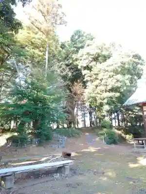 伊古乃速御玉比売神社の{uncategorized: "未分類", other: "その他", undefined: "問題あり", building: "その他建物", grave: "お墓", sacred_gate: "鳥居", guardian: "狛犬", statue: "像", buddha: "仏像", history: "歴史", nature: "自然", garden: "庭園", animal: "動物", pagoda: "塔", temizu: "手水舎", mountain_gate: "山門・神門", sanctuary: "本殿・本堂", subordinate: "末社・摂社", art: "芸術", scenery: "景色", jizo: "地蔵", ema: "絵馬", goshuin: "御朱印", omikuji: "おみくじ", items: "授与品その他", amulet: "お守り", goshuincho: "御朱印帳", eats: "食事", festival: "お祭り", votive_dance: "神楽", shichigosan: "七五三参", wedding: "結婚式", experience: "体験その他", initially: "初詣", around: "周辺", anti_infection: "感染症対策"}