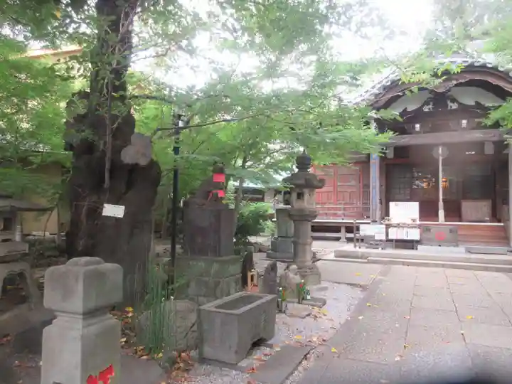 澤蔵司稲荷(慈眼院)(東京都)