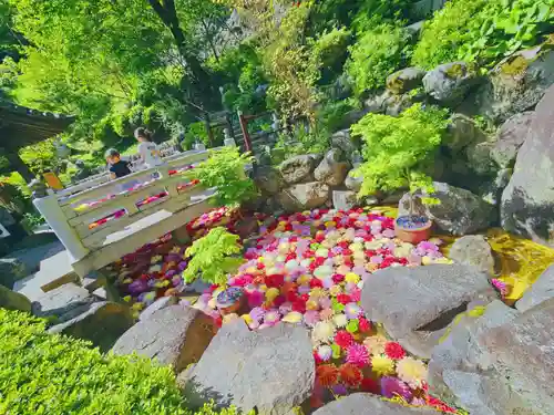 岡寺（龍蓋寺）(奈良県)