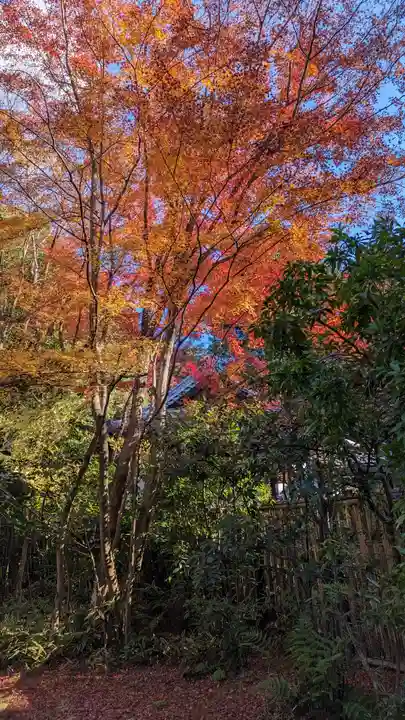 来迎院(京都府)