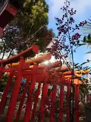 三輪神社の鳥居