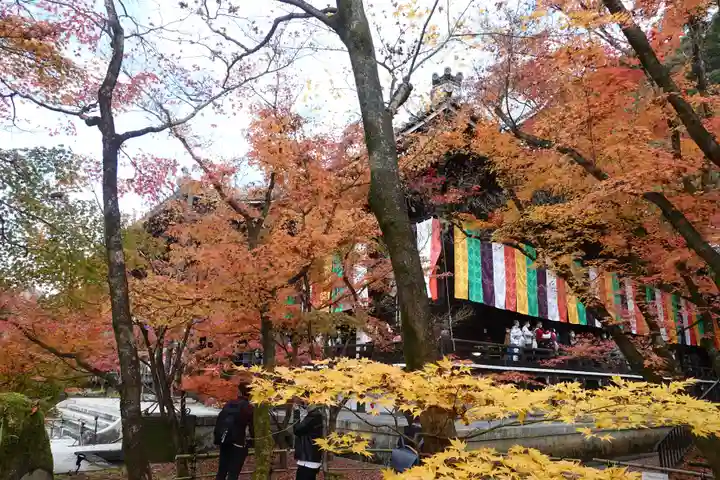 禅林寺(永観堂)(京都府)