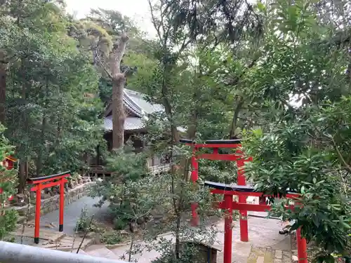 伊古奈比咩命神社の鳥居