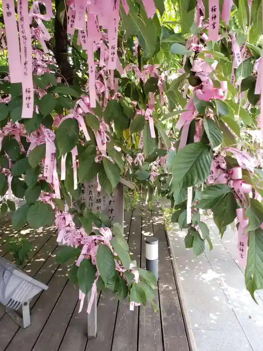 桜神宮(東京都)