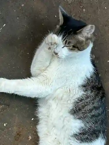 代々木八幡宮(東京都)