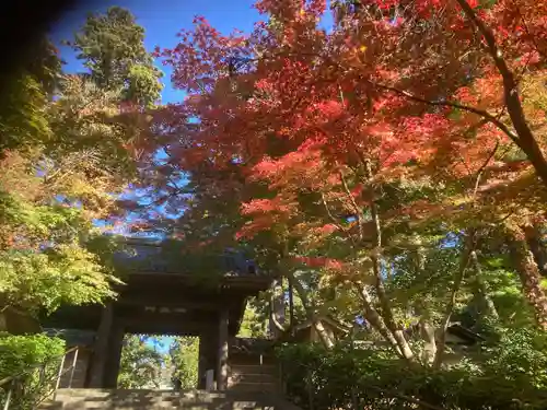 円覚寺(神奈川県)