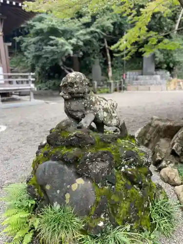 貫井神社(東京都)