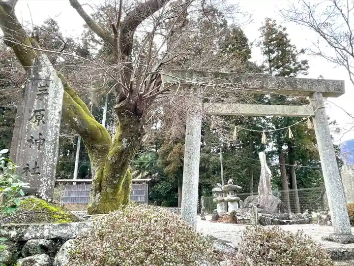 茅原神社(三重県)