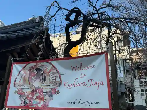 柏神社の{uncategorized: "未分類", other: "その他", undefined: "問題あり", building: "その他建物", grave: "お墓", sacred_gate: "鳥居", guardian: "狛犬", statue: "像", buddha: "仏像", history: "歴史", nature: "自然", garden: "庭園", animal: "動物", pagoda: "塔", temizu: "手水舎", mountain_gate: "山門・神門", sanctuary: "本殿・本堂", subordinate: "末社・摂社", art: "芸術", scenery: "景色", jizo: "地蔵", ema: "絵馬", goshuin: "御朱印", omikuji: "おみくじ", items: "授与品その他", amulet: "お守り", goshuincho: "御朱印帳", eats: "食事", festival: "お祭り", votive_dance: "神楽", shichigosan: "七五三参", wedding: "結婚式", experience: "体験その他", initially: "初詣", around: "周辺", anti_infection: "感染症対策"}
