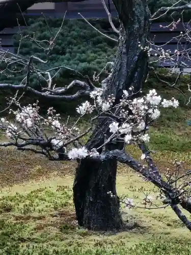 慈光院の{uncategorized: "未分類", other: "その他", undefined: "問題あり", building: "その他建物", grave: "お墓", sacred_gate: "鳥居", guardian: "狛犬", statue: "像", buddha: "仏像", history: "歴史", nature: "自然", garden: "庭園", animal: "動物", pagoda: "塔", temizu: "手水舎", mountain_gate: "山門・神門", sanctuary: "本殿・本堂", subordinate: "末社・摂社", art: "芸術", scenery: "景色", jizo: "地蔵", ema: "絵馬", goshuin: "御朱印", omikuji: "おみくじ", items: "授与品その他", amulet: "お守り", goshuincho: "御朱印帳", eats: "食事", festival: "お祭り", votive_dance: "神楽", shichigosan: "七五三参", wedding: "結婚式", experience: "体験その他", initially: "初詣", around: "周辺", anti_infection: "感染症対策"}