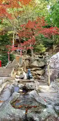 金華山黄金山神社の手水舎