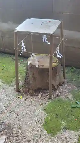 大杉神社(愛媛県)