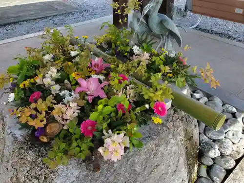 白鷺神社の手水舎
