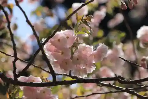 磐椅神社の自然