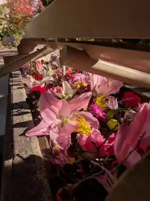 鳩森八幡神社の手水舎