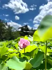 信濃國分寺(長野県)