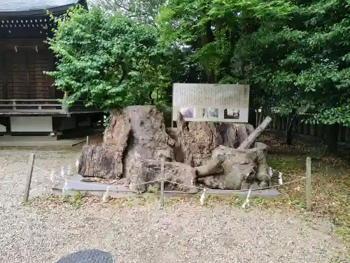 布多天神社(東京都)
