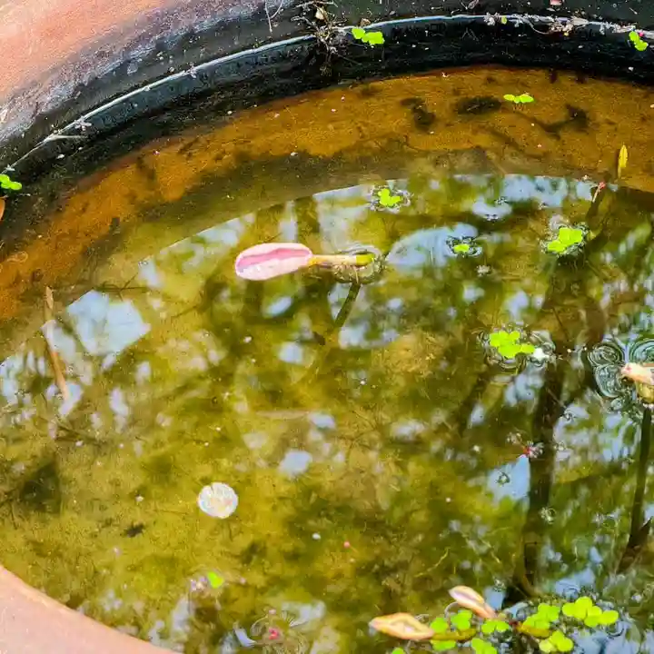 伊勢の国 四天王寺(三重県)