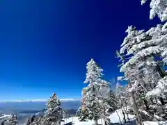 禰固岳神社の自然