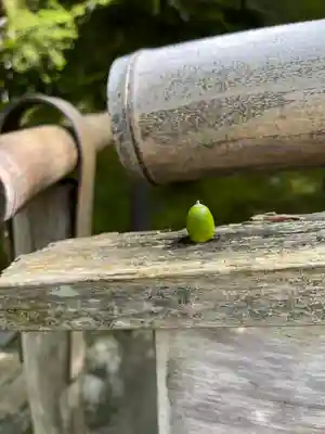 慈照寺（慈照禅寺・銀閣寺）(京都府)