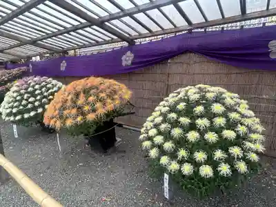 亀戸天神社(東京都)