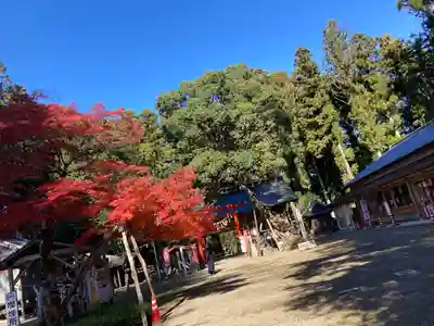 賀茂神社(宮城県)