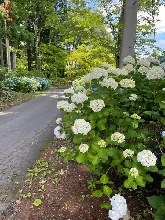 糠部神社(青森県)