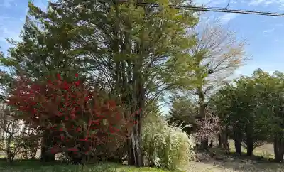 淺間神社（忍野八海）の{uncategorized: "未分類", other: "その他", undefined: "問題あり", building: "その他建物", grave: "お墓", sacred_gate: "鳥居", guardian: "狛犬", statue: "像", buddha: "仏像", history: "歴史", nature: "自然", garden: "庭園", animal: "動物", pagoda: "塔", temizu: "手水舎", mountain_gate: "山門・神門", sanctuary: "本殿・本堂", subordinate: "末社・摂社", art: "芸術", scenery: "景色", jizo: "地蔵", ema: "絵馬", goshuin: "御朱印", omikuji: "おみくじ", items: "授与品その他", amulet: "お守り", goshuincho: "御朱印帳", eats: "食事", festival: "お祭り", votive_dance: "神楽", shichigosan: "七五三参", wedding: "結婚式", experience: "体験その他", initially: "初詣", around: "周辺", anti_infection: "感染症対策"}